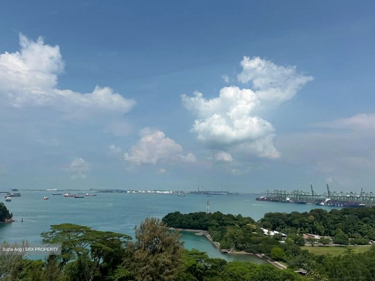 Reflections At Keppel Bay (D4), Condominium #610368091